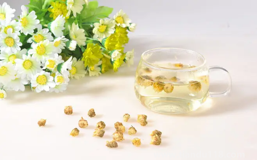 嗓子疼喝菊花茶可以緩解嗎1