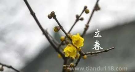 2023過年打春什么說法3