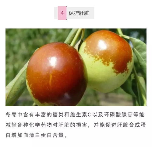 山西臨猗特產(chǎn)花鼓麻花