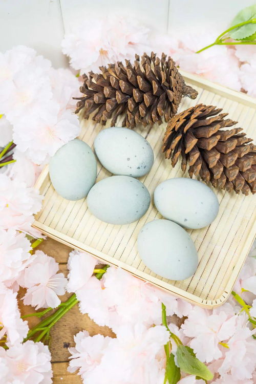 神農(nóng)架什么特產(chǎn)值得買