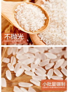墾利有什么好玩的地方
