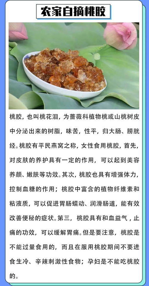 咸寧有哪些特產(chǎn)