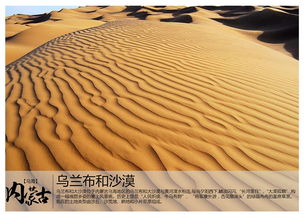 內(nèi)蒙古烏海有什么特產(chǎn)
