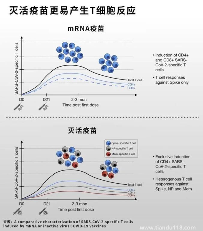 科兴三针防感染率仅8%?真相来了(图5)