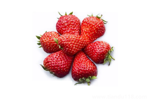 草莓放在袋子里闷发酵了还能吃吗1