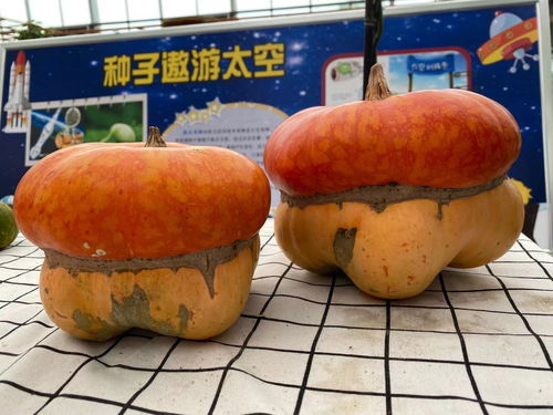 湖北天门最有名的土特产