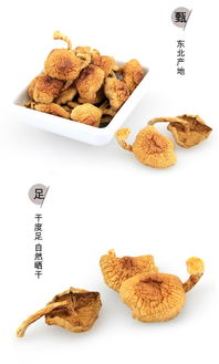 大兴安岭特色美食的名字