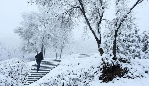2024年元旦去南京能看到雪吗（南京几月